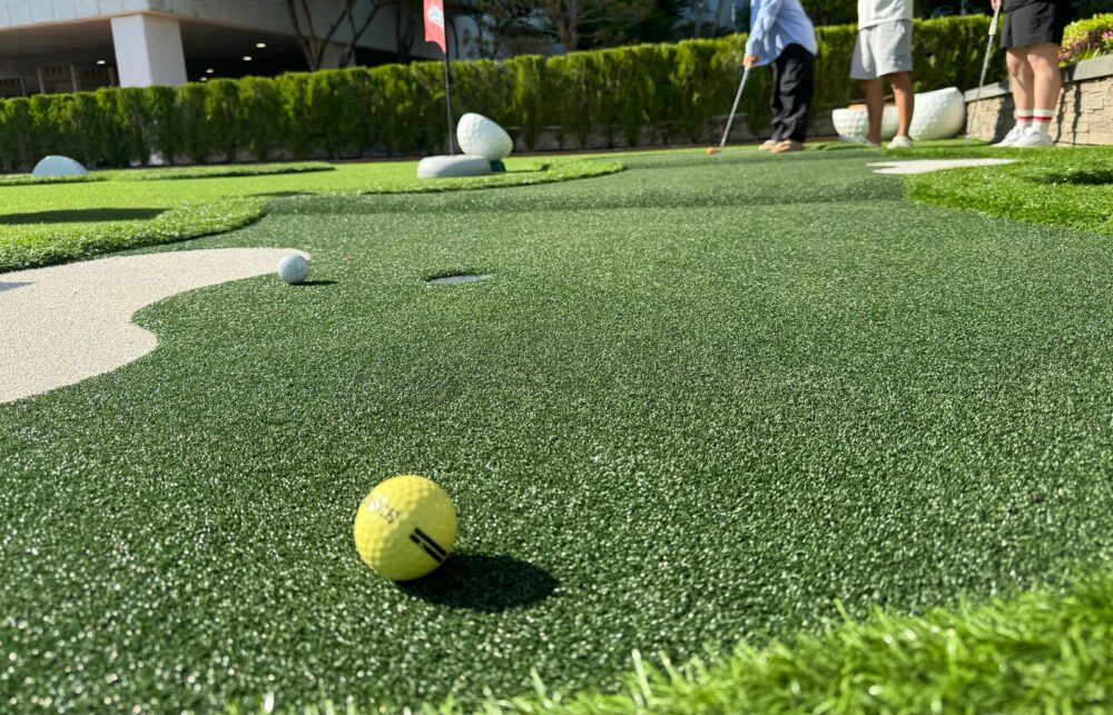 From Parking Space to Practice Space: Your DFW Garage Golf Simulator Guide